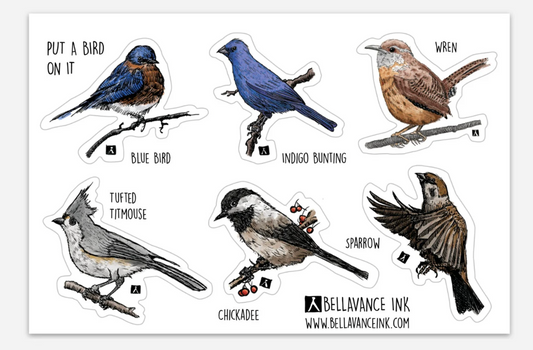BellavanceInk: 4 x 6 Sticker Sheet of Backyard Birds Dishwasher/Carwash Safe Bluebird, Tufted TItmouse, Indigo Bunting, Carolina Wren