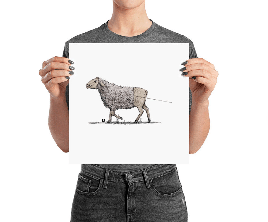 BellavanceInk: Print Of Sheep Losing Her Wool - BellavanceInk