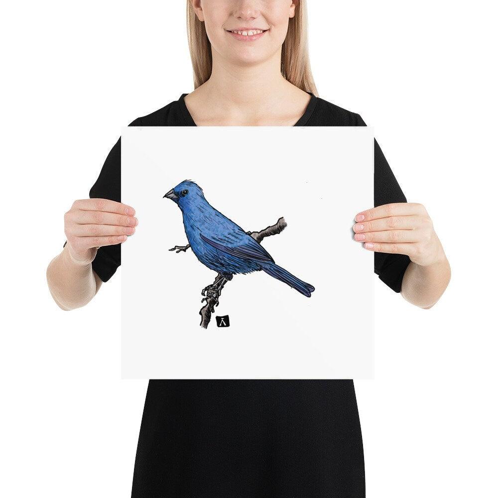 BellavanceInk: Pen & Ink/Watercolor Of An Indigo Bunting Bird On A Branch Print - BellavanceInk