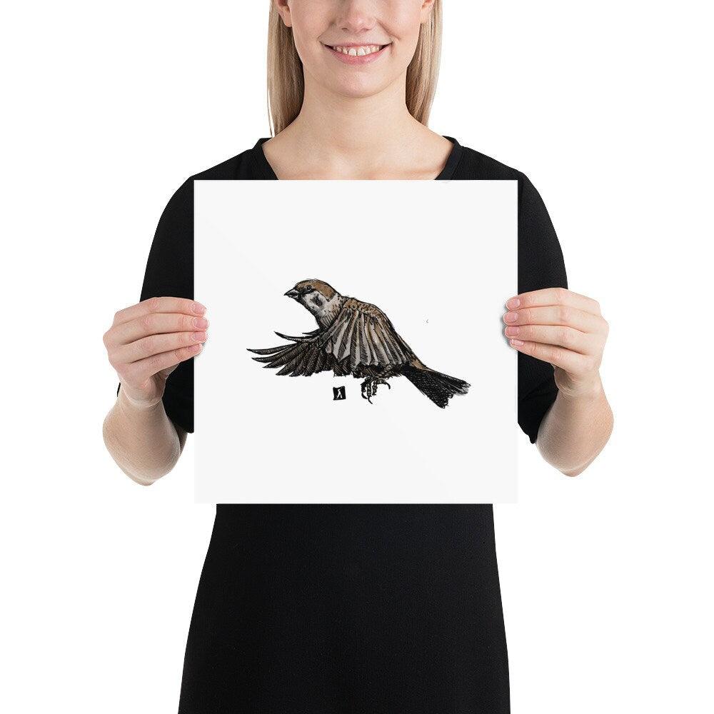 BellavanceInk: Pen & Ink Watercolor Illustration Of Sparrow In Mid Flight - BellavanceInk