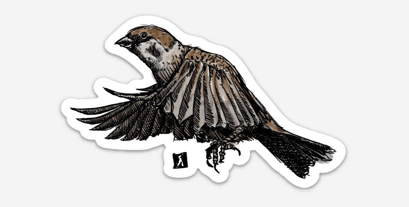 BellavanceInk: Sparrow Backyard Bird Vinyl Sticker Pen and Ink Illustration - BellavanceInk