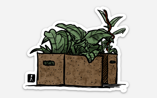 BellavanceInk: Boxes Of Plants With A Snake Pen And Ink Style Illustration Vinyl Sticker