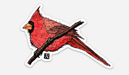 BellavanceInk: Fat Cardinal On A Branch Vinyl Sticker Pen and Ink Illustration