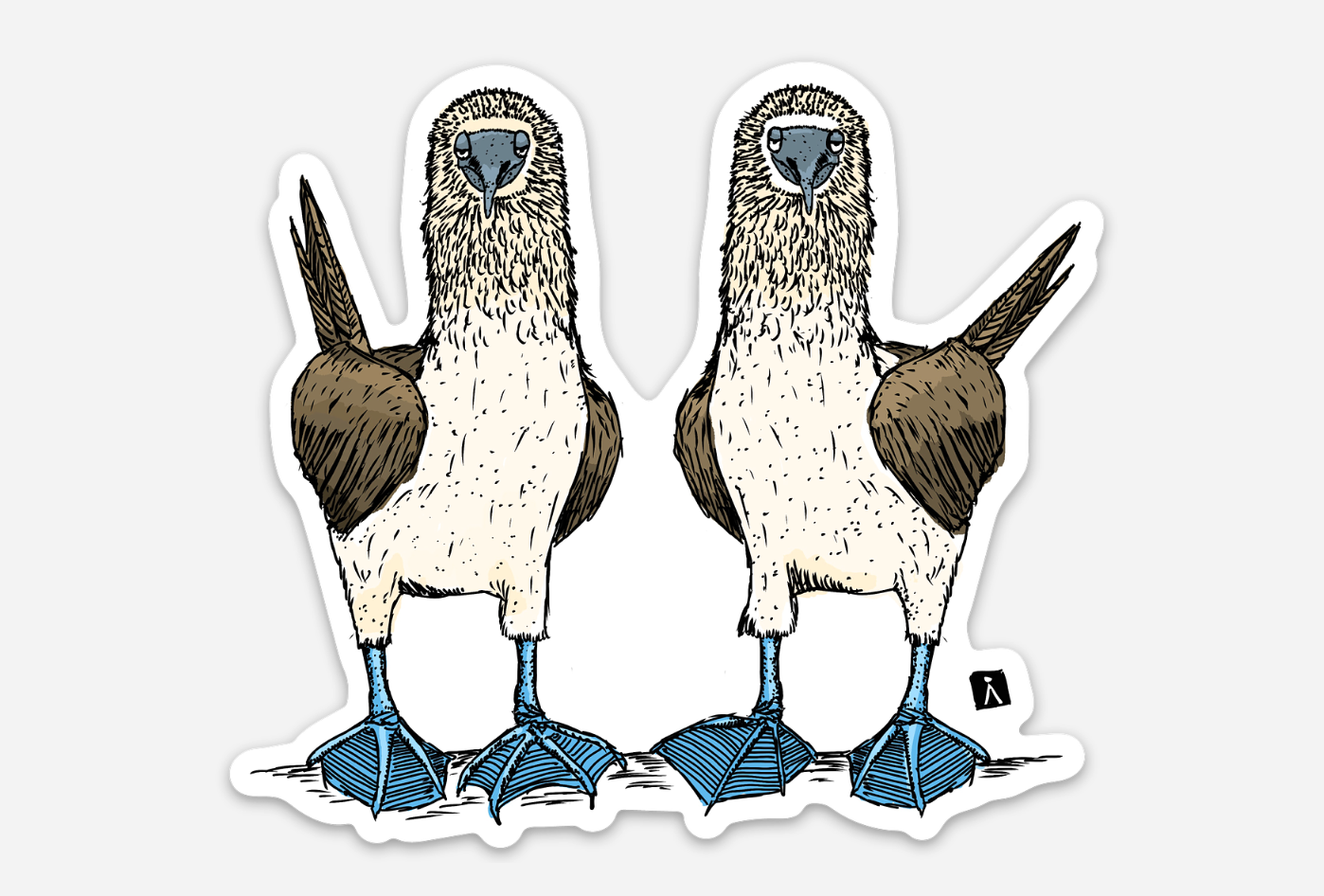 BellavanceInk: Two Blue Footed Boobies Vinyl Sticker Illustration