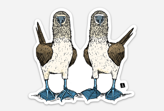 BellavanceInk: Two Blue Footed Boobies Vinyl Sticker Illustration