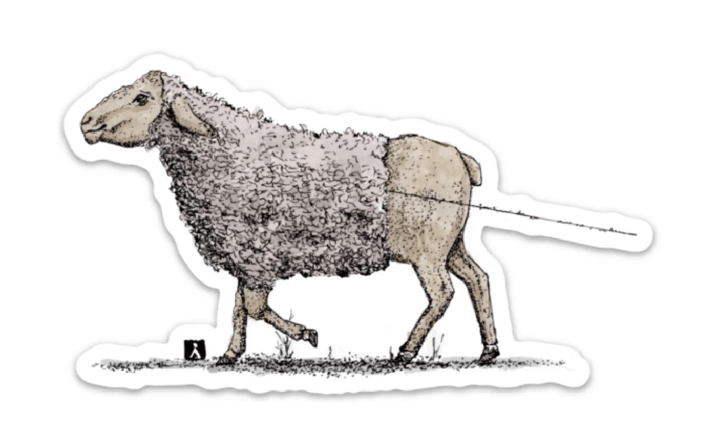 BellavanceInk: Sheep Unravelling Her Wool While Walking Pen & Ink Drawing On A Vinyl Sticker - BellavanceInk