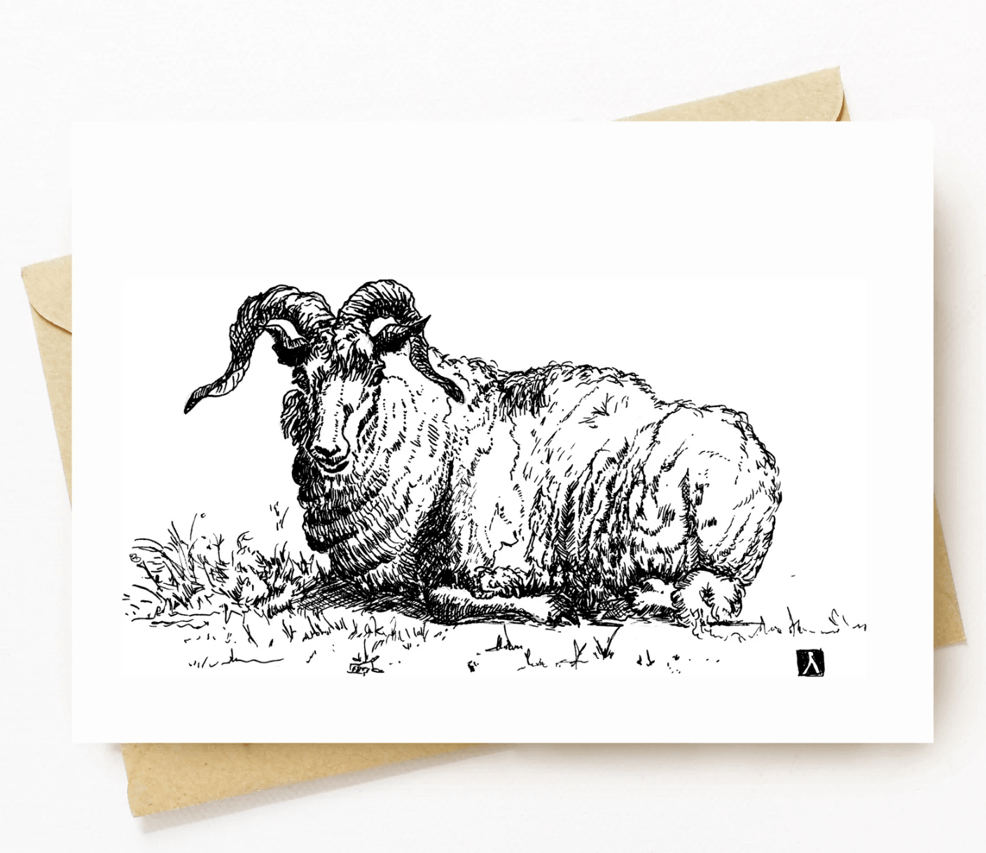 BellavanceInk: Greeting Card With A Pen & Ink Drawing Of A Laying Ram 5 x 7 Inches - BellavanceInk