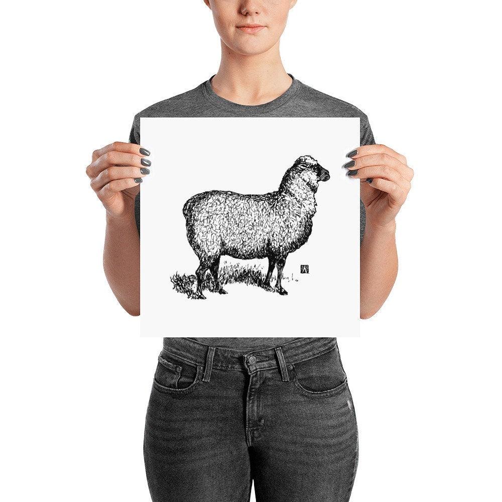 BellavanceInk: Pen & Ink Drawing of a Proud Sheep Print - BellavanceInk