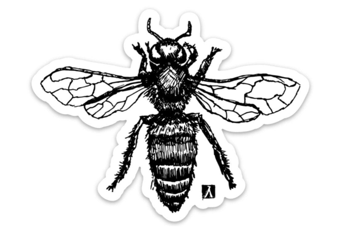 BellavanceInk: Honey Bee Art Pen & Ink Drawing Vinyl Sticker - BellavanceInk