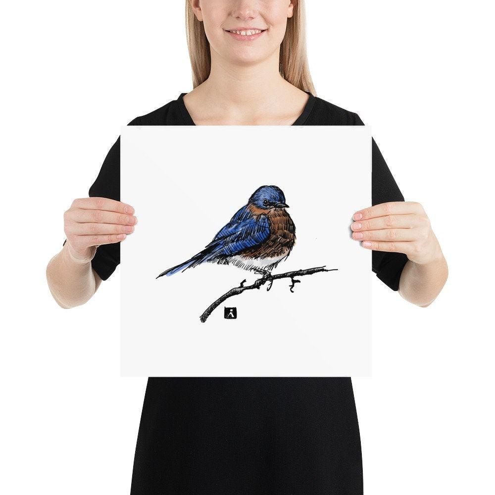 BellavanceInk: Pen & Ink/Watercolor Of An Eastern Bluebird Back Yard Bird On A Branch Print - BellavanceInk