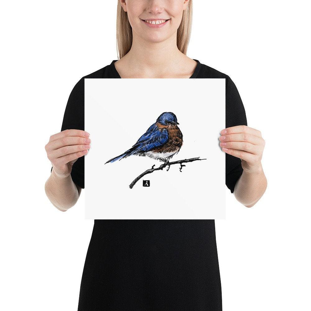 BellavanceInk: Pen & Ink/Watercolor Of An Eastern Bluebird Back Yard Bird On A Branch Print - BellavanceInk