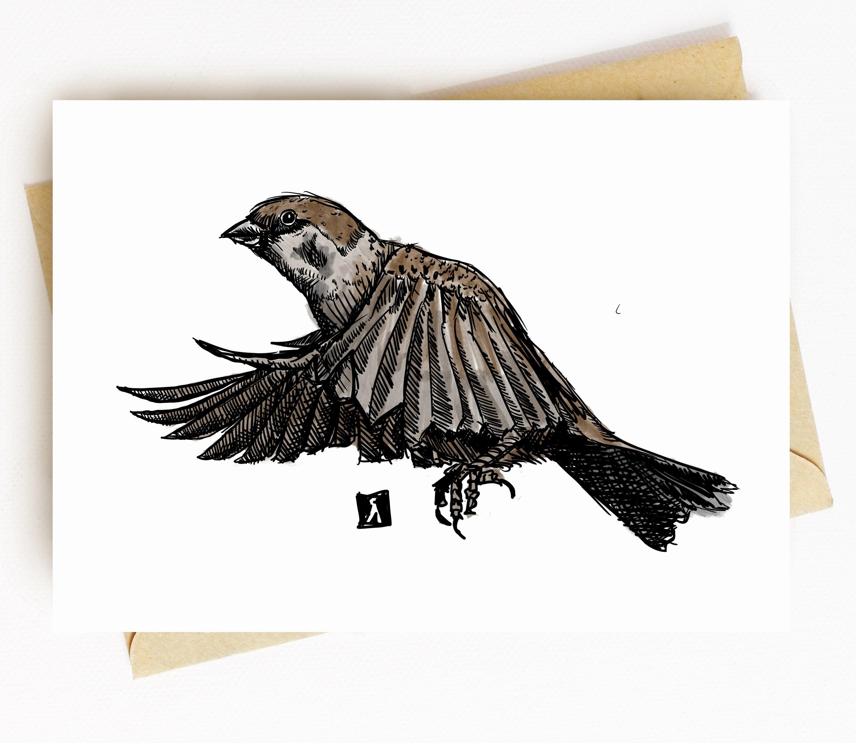 430 Sparrow Flying Illustration Stock Photos, High-Res Pictures, and Images  - Getty Images