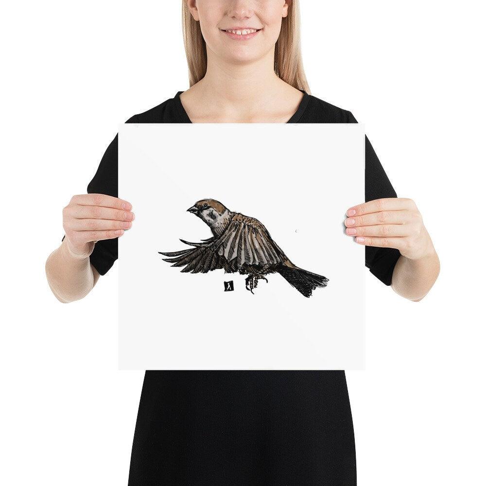 BellavanceInk: Pen & Ink Watercolor Illustration Of Sparrow In Mid Flight - BellavanceInk