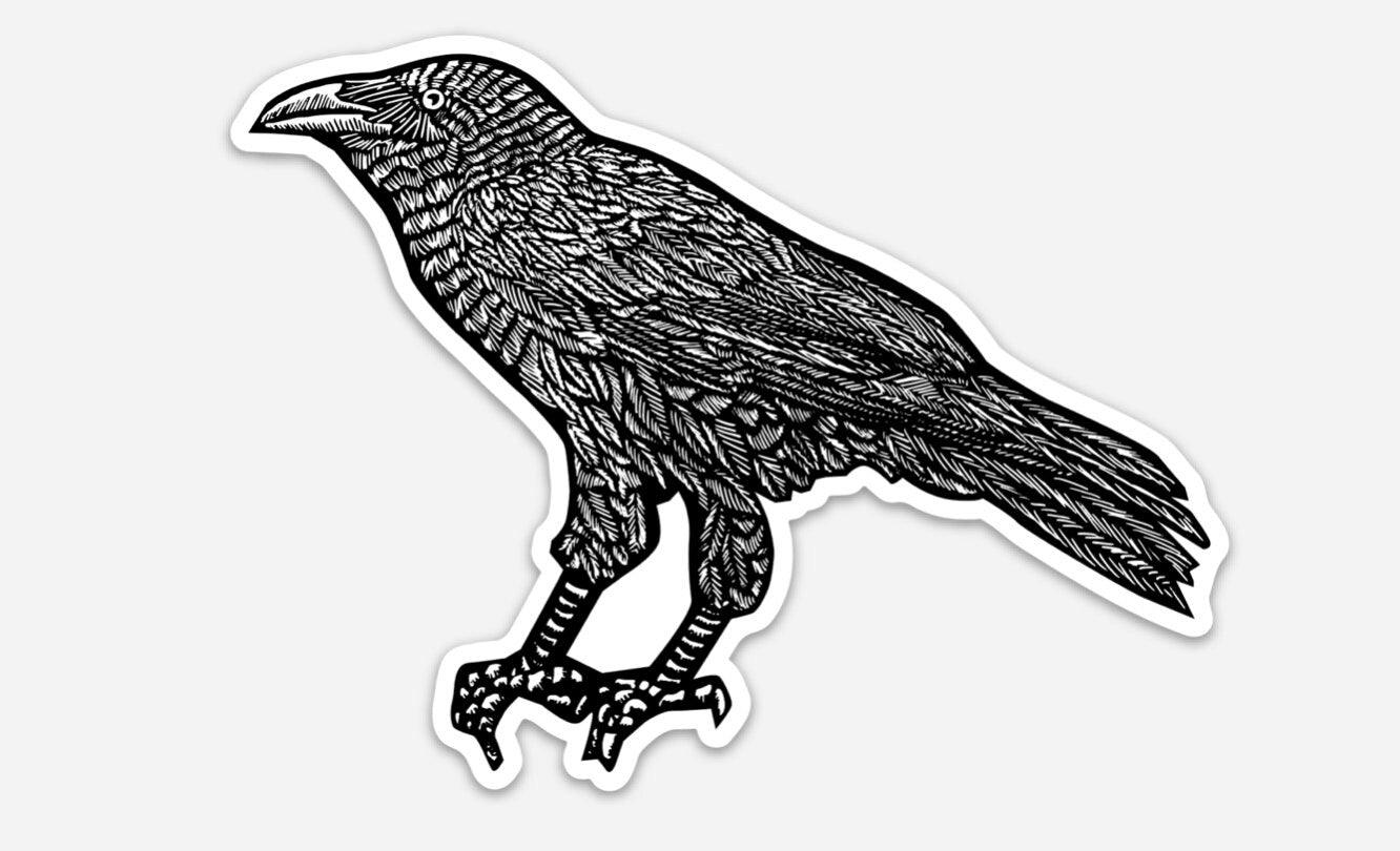 BellavanceInk: Raven Vinyl Sticker Pen and Ink Illustration - BellavanceInk