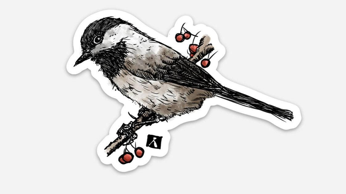 BellavanceInk: Chickadee Backyard Bird Vinyl Sticker Pen and Ink Illustration - BellavanceInk