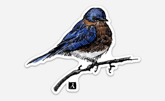 BellavanceInk: Blue Bird Backyard Bird  Vinyl Sticker Pen and Ink Illustration - BellavanceInk