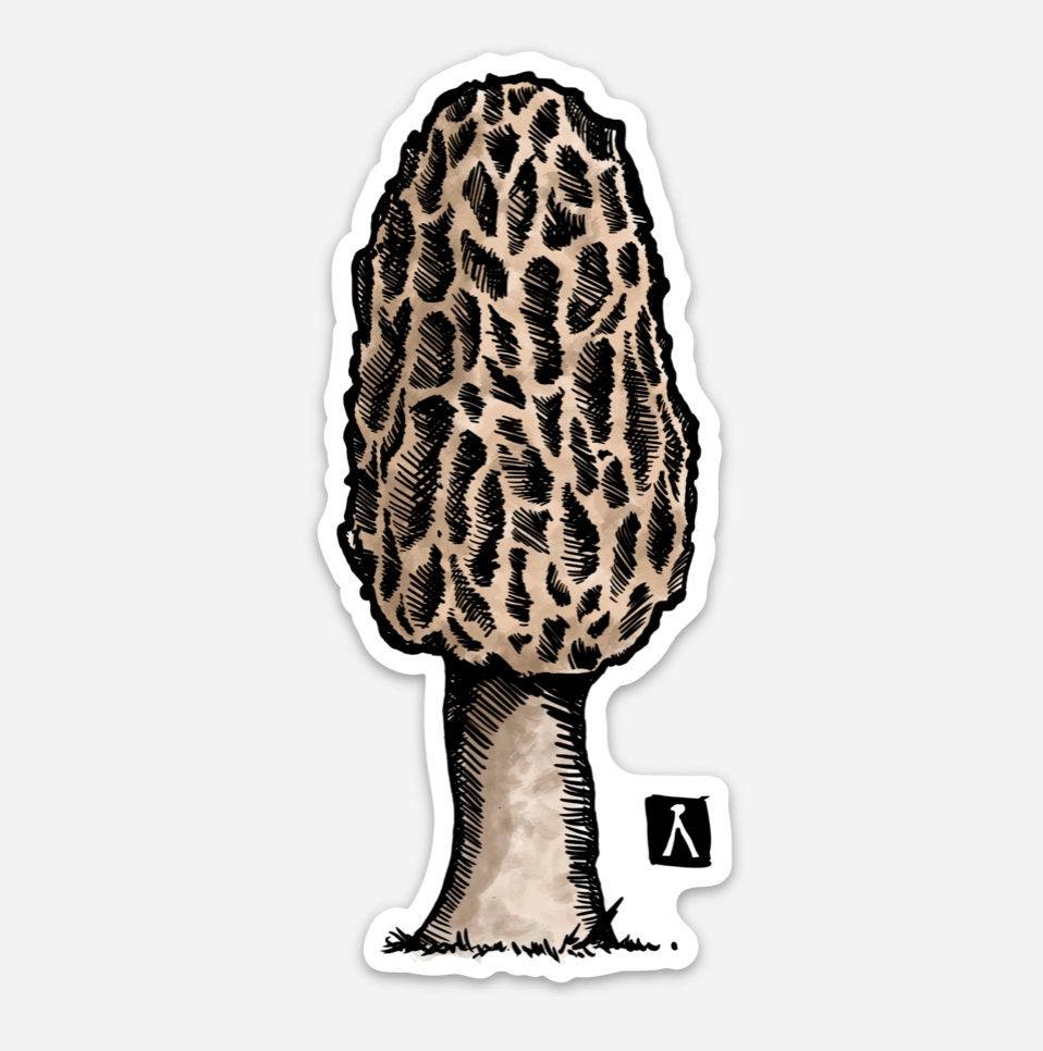 BellavanceInk: Morel Mushroom Hand Drawn Vinyl Sticker Illustration - BellavanceInk