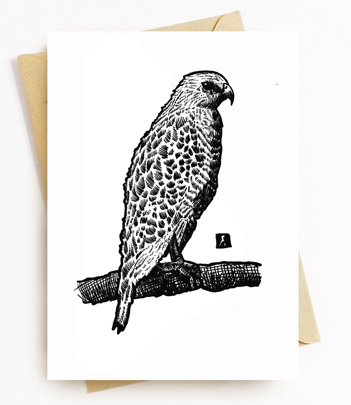 BellavanceInk: Greeting Card With A Falcon Pen & Ink Illustration 5 x 7 Inches - BellavanceInk
