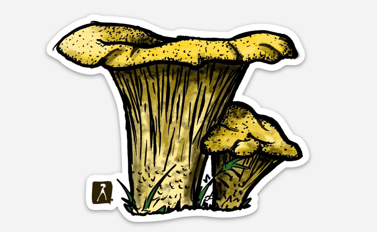 BellavanceInk: Chanterelle Mushroom Hand Drawn Vinyl Sticker Illustration - BellavanceInk