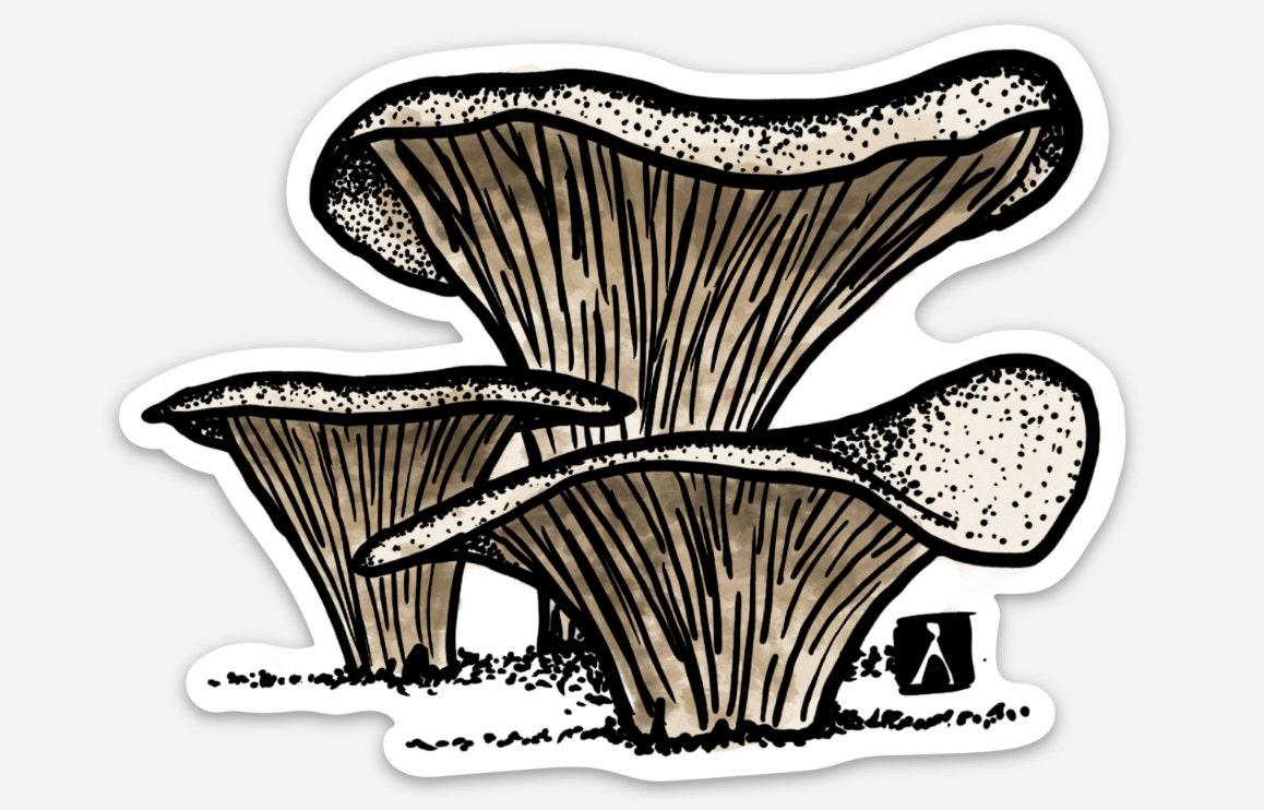 BellavanceInk: Oyster Mushroom Hand Drawn Vinyl Sticker Illustration - BellavanceInk