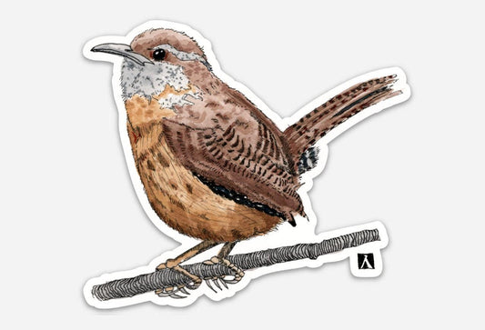 BellavanceInk: Carolina Wren Vinyl Sticker Pen/Watercolor Illustration - BellavanceInk